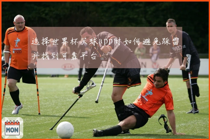 选择世界杯买球app时如何避免踩雷并找到可靠平台